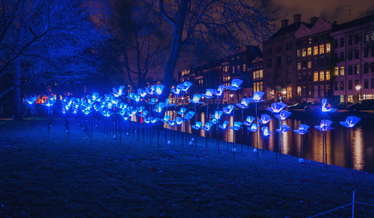 An installation at the Amsterdam light festival