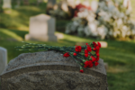 Read flowers resting on a gravestone